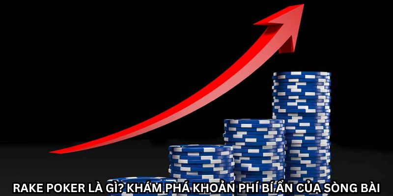 Rake Poker là gì? Bí mật đằng sau khoản phí khi chơi Poker